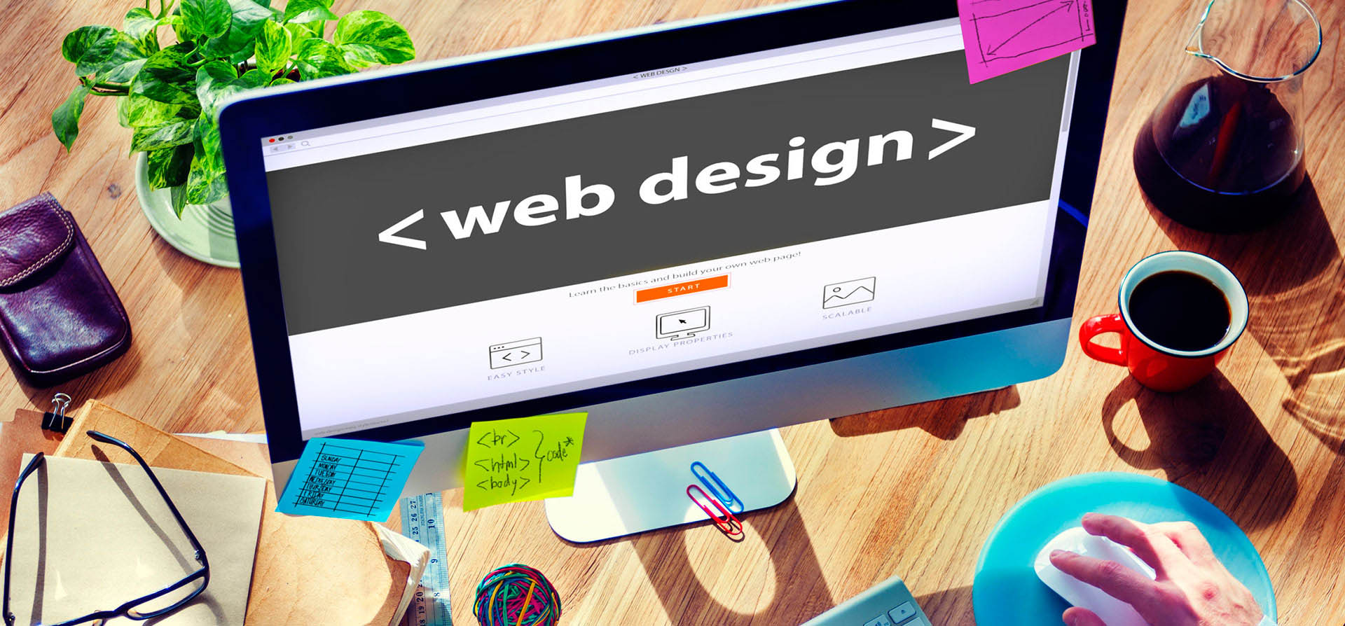 web tasarım yazılım